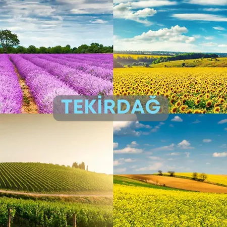 Ramada By Wyndham Hotel 5*