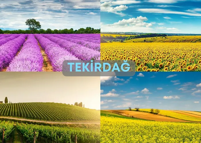 Ramada By Wyndham Hotel 5*